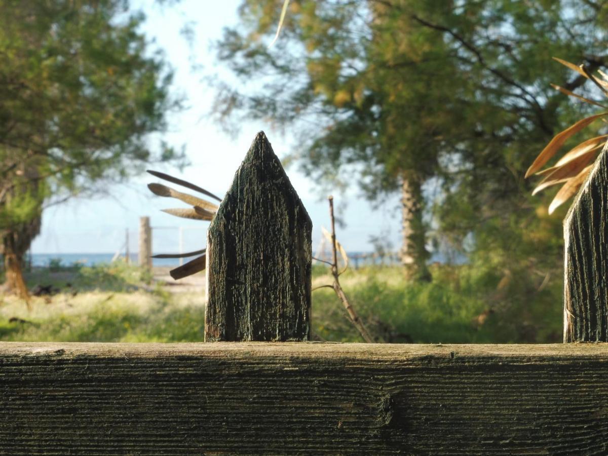 Palm Tree House By The Beach Skhoinos Bagian luar foto