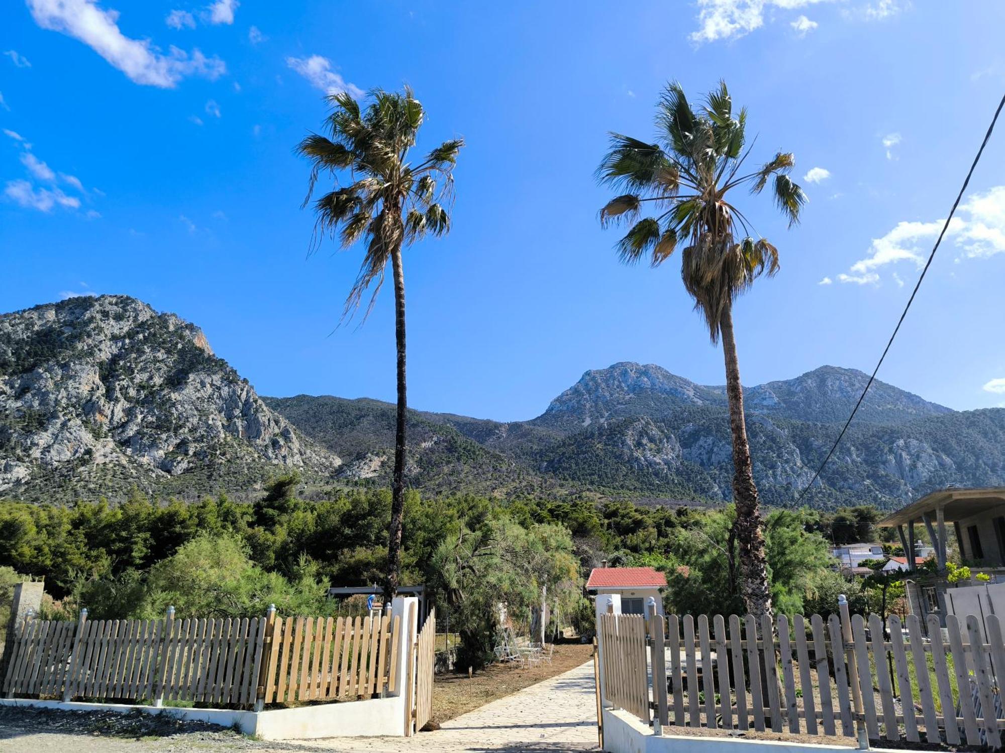 Palm Tree House By The Beach Skhoinos Bagian luar foto